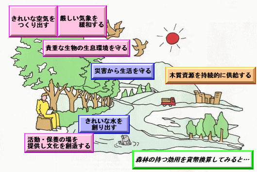 森の役割 フォレスターうじ